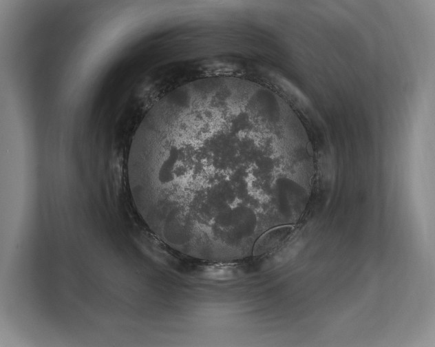 X0000111580761200907231235