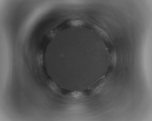 X0000111580762200907231235