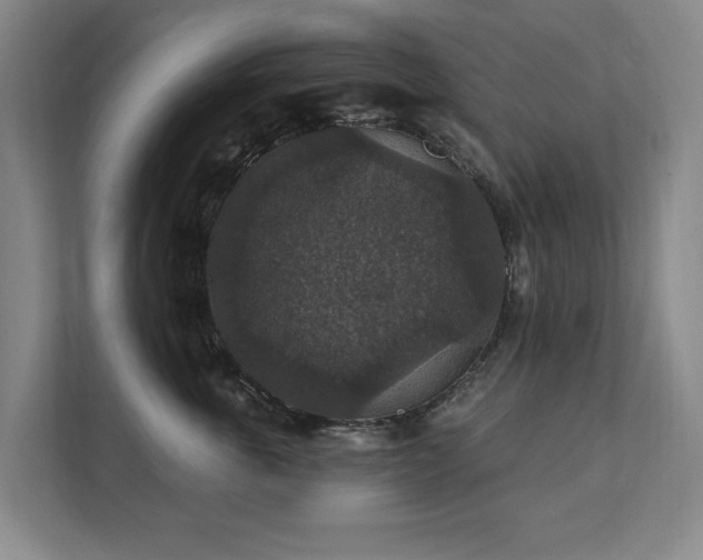 X0000111580763200907231235