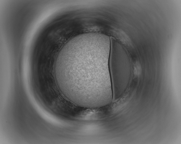 X0000111580764200907231235
