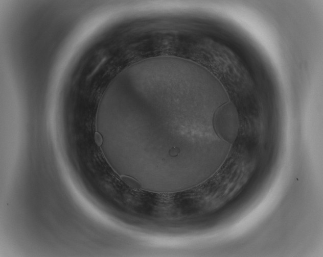 X0000111580766200907231235