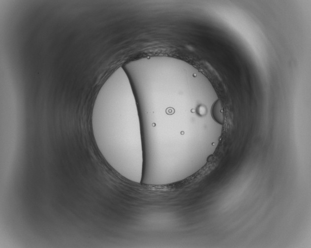X0000111580767200907231235