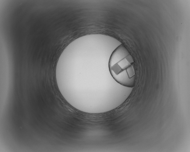 X0000111580768200907231235