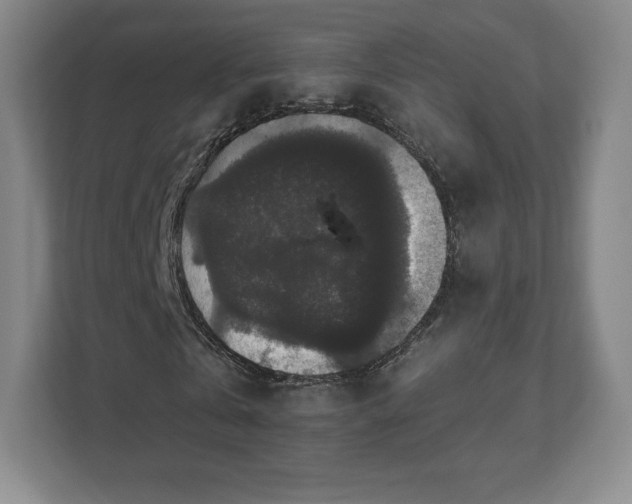 X0000111580769200907231235
