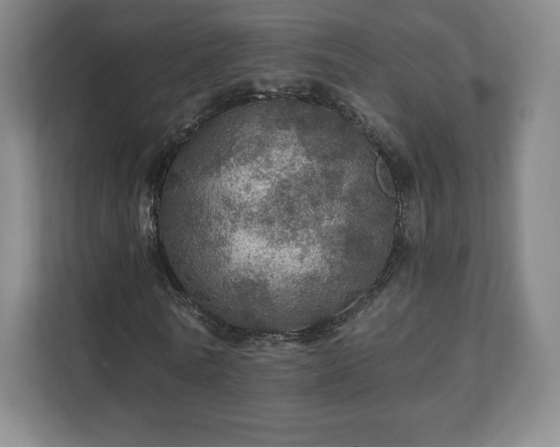 X0000111580770200907231234