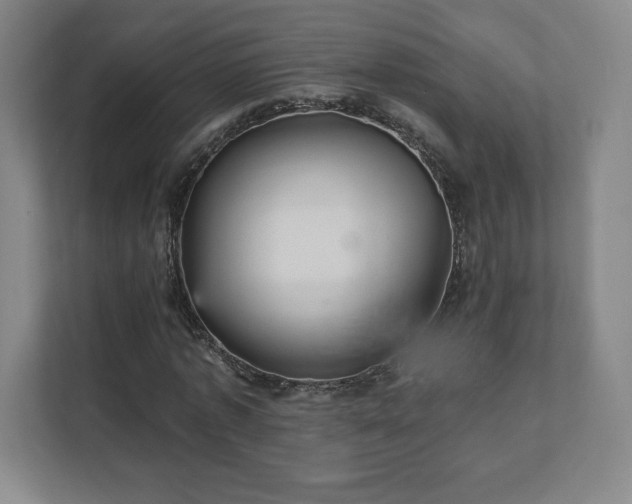 X0000111580773200907231234