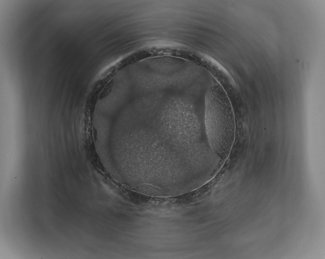 X0000111580775200907231234