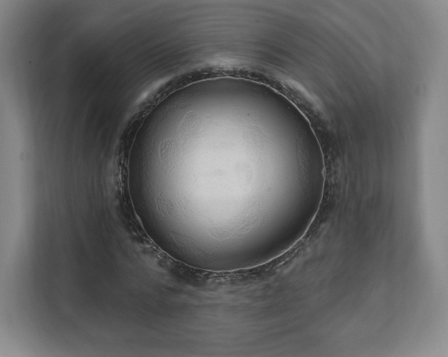 X0000111580776200907231234
