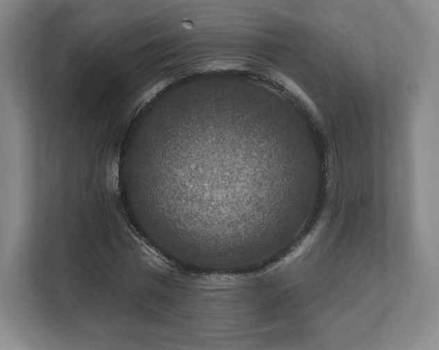 X0000111580777200907231234