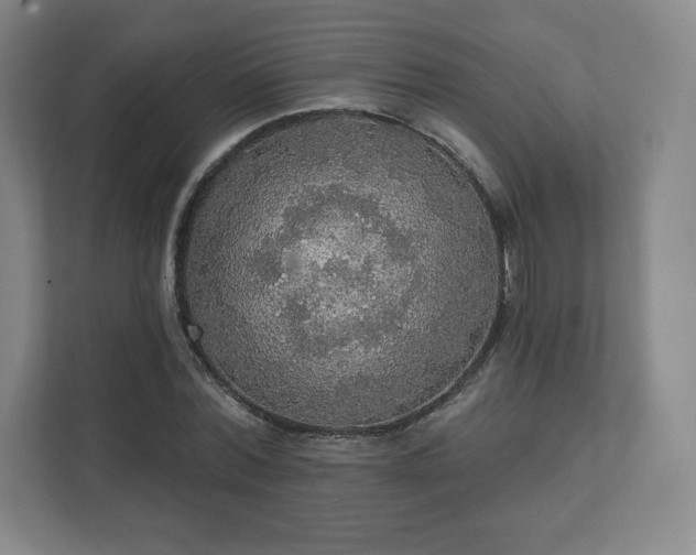 X0000111580780200907231234