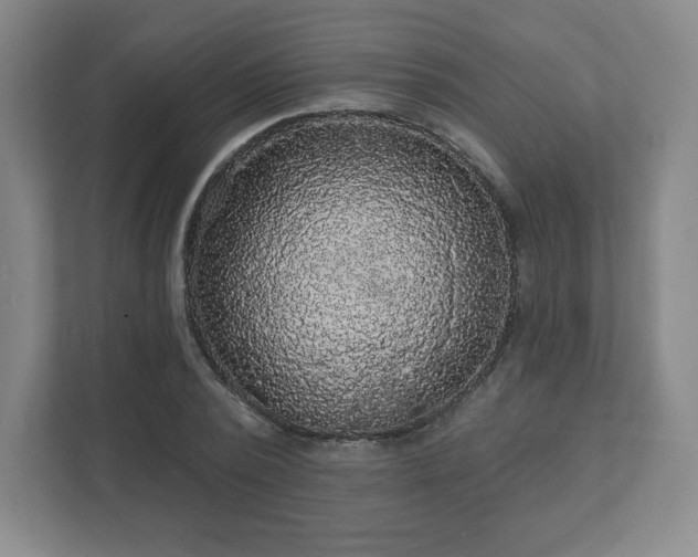 X0000111580784200907231234