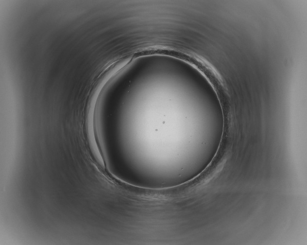 X0000111580785200907231234