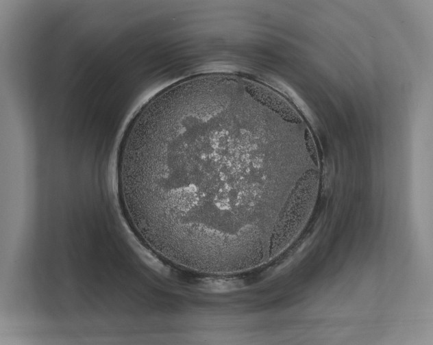 X0000111580795200907231234