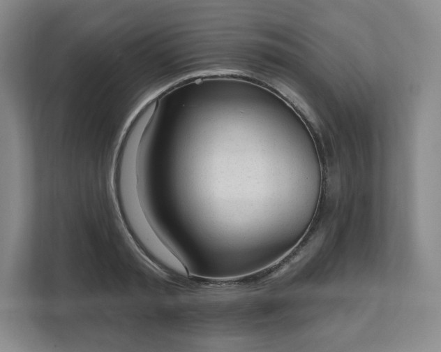 X0000111580797200907231234