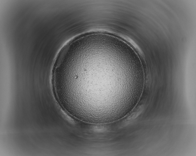 X0000111580799200907231234