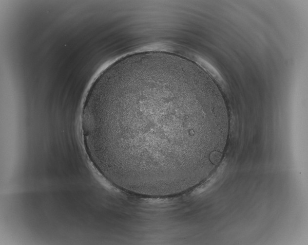 X0000111580800200907231234