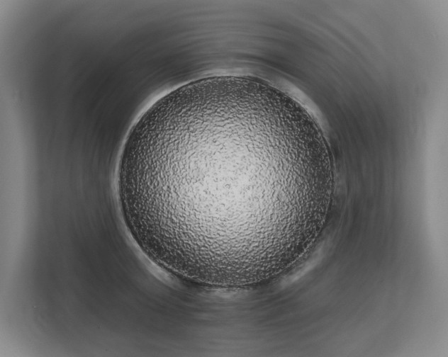 X0000111580803200907231234