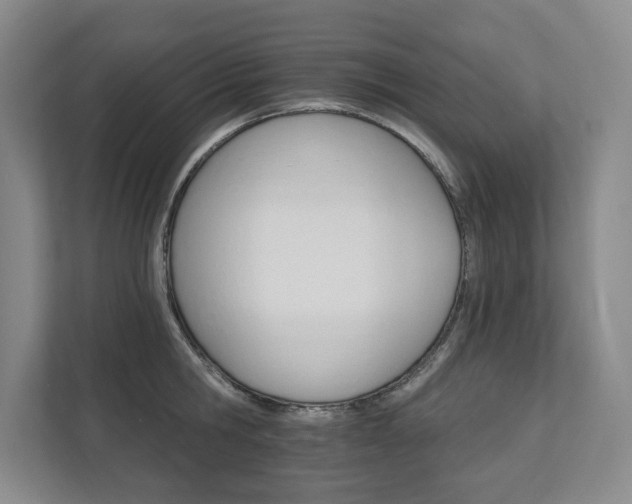 X0000111580806200907231234