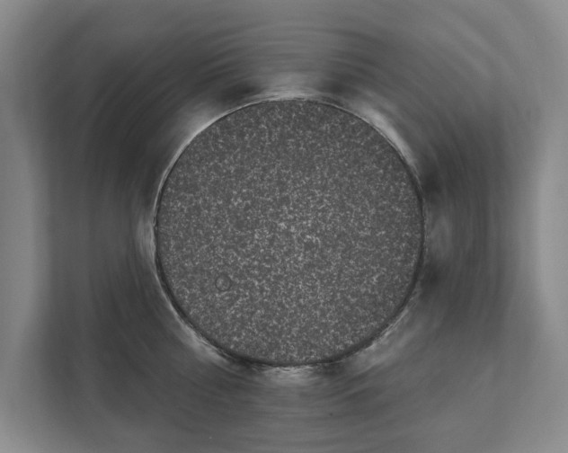 X0000111580810200907231234