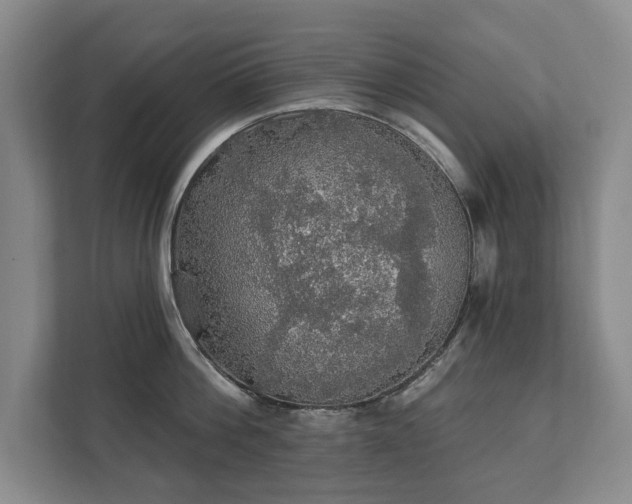 X0000111580812200907231234