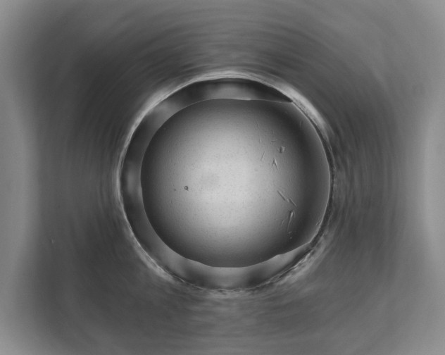 X0000111580813200907231234