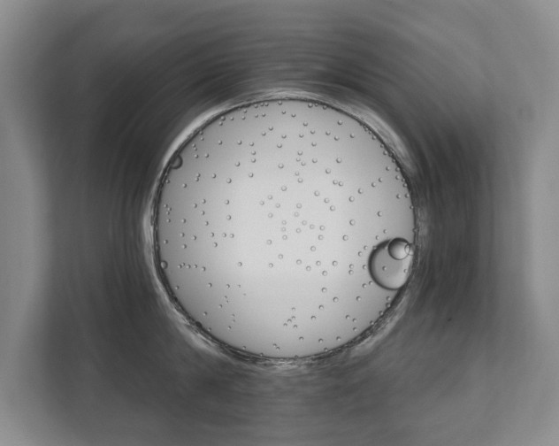 X0000111580814200907231234