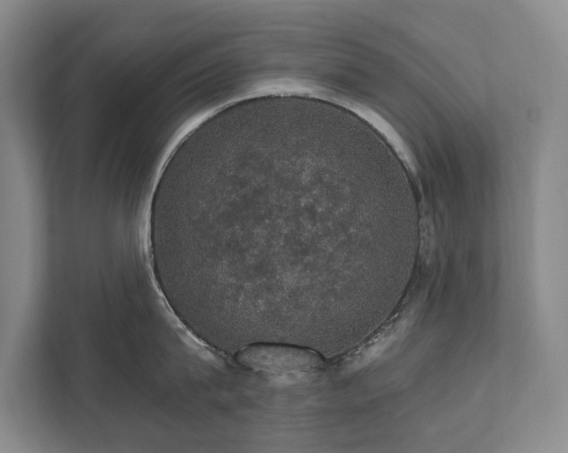 X0000111580815200907231234