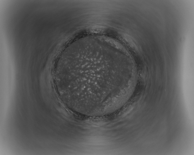X0000111580817200907231233