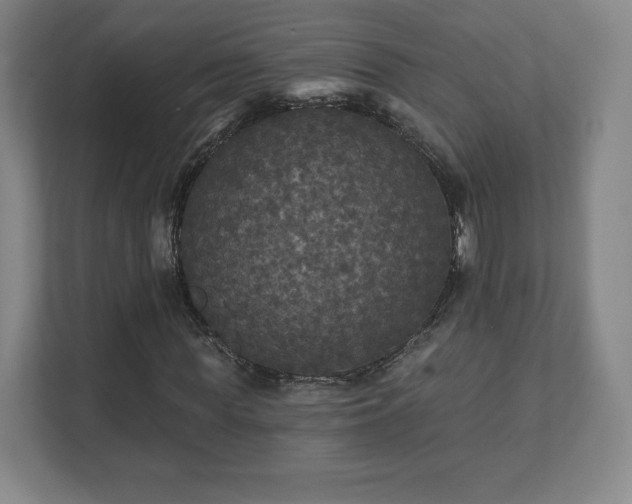X0000111580819200907231233