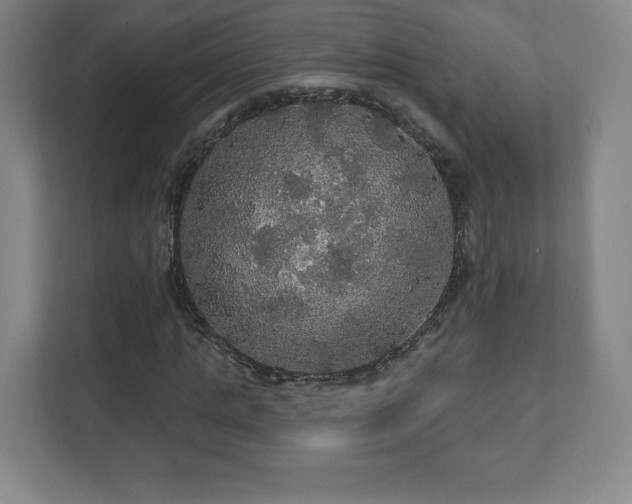 X0000111580821200907231233