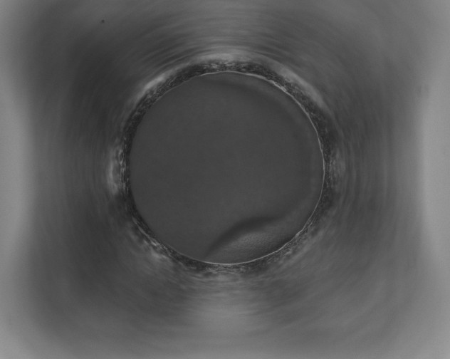 X0000111580822200907231233