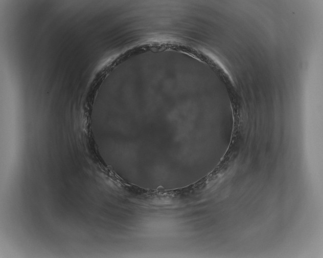 X0000111580823200907231233