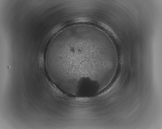 X0000111580825200907231233
