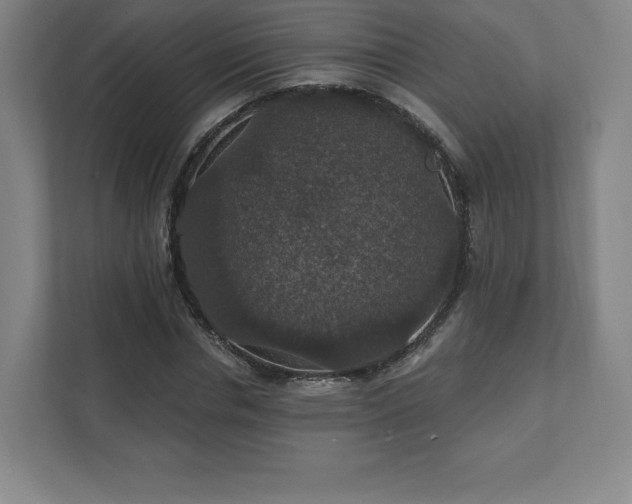 X0000111580826200907231233