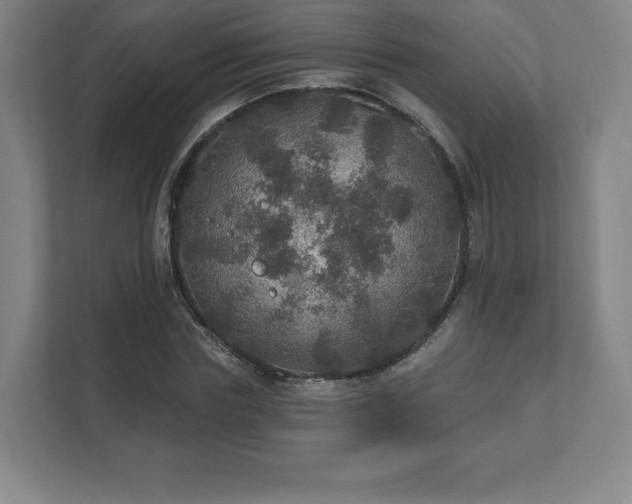 X0000111580827200907231233