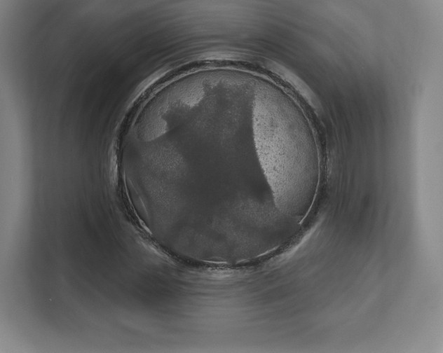 X0000111580829200907231233