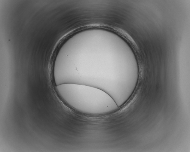 X0000111580831200907231233
