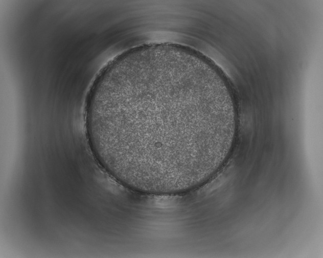 X0000111580832200907231233
