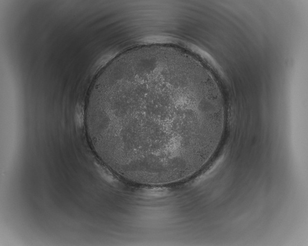X0000111580833200907231233