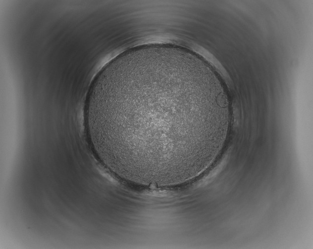 X0000111580834200907231233