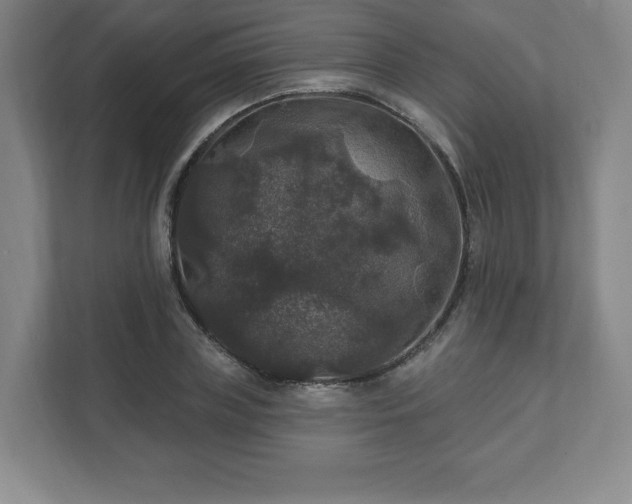 X0000111580835200907231234