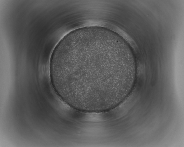 X0000111580836200907231234
