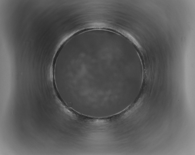 X0000111580839200907231234
