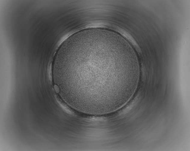 X0000111580842200907231234