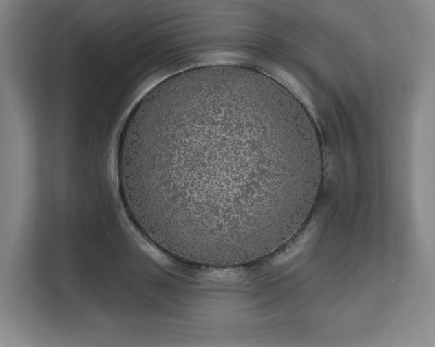 X0000111580843200907231234