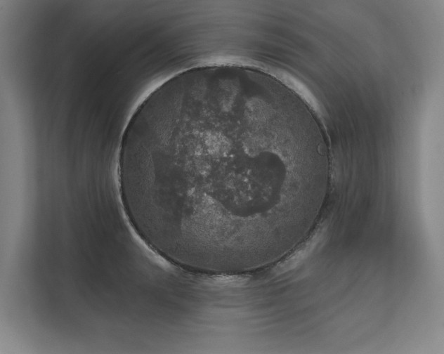 X0000111580847200907231234