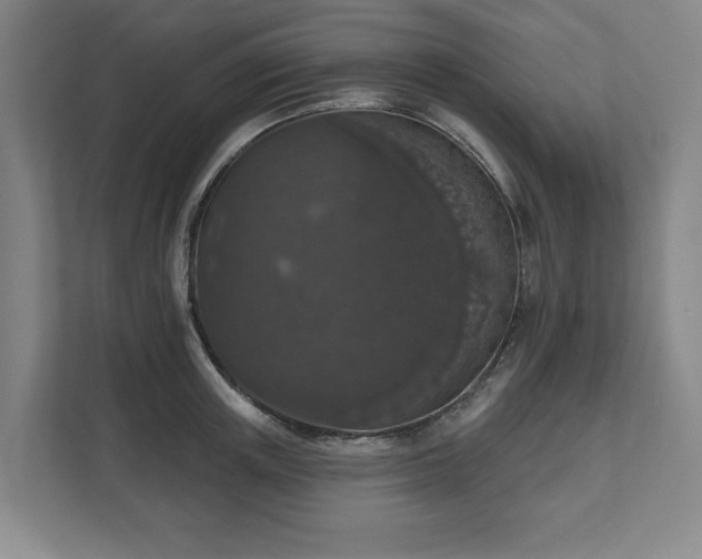 X0000111580851200907231234