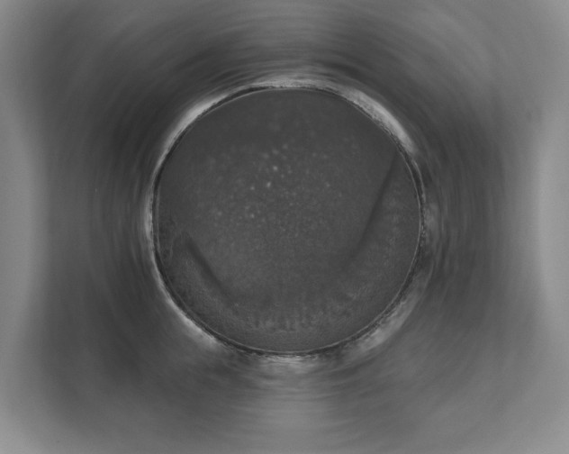 X0000111580855200907231234