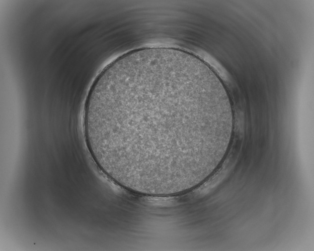 X0000111580856200907231234