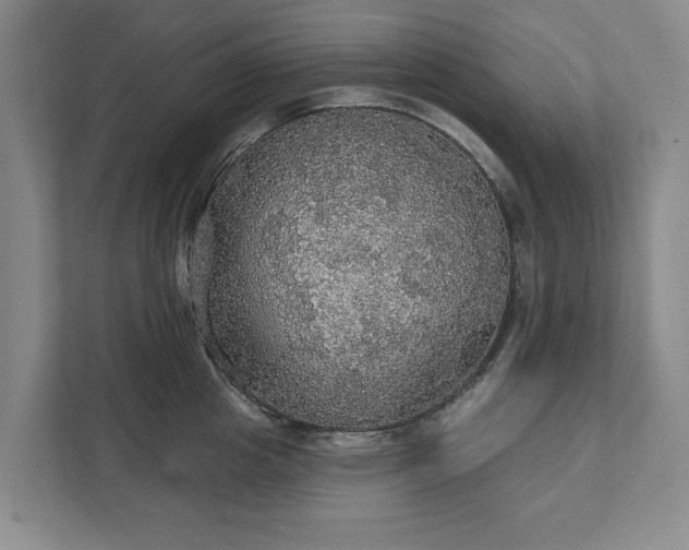 X0000111580857200907231234